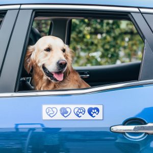 Pegatinas para el parachoques